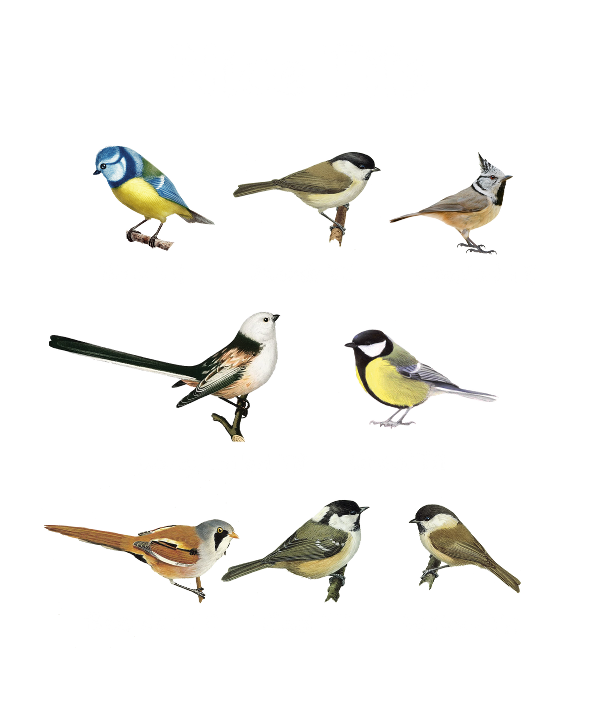 Nice Tits