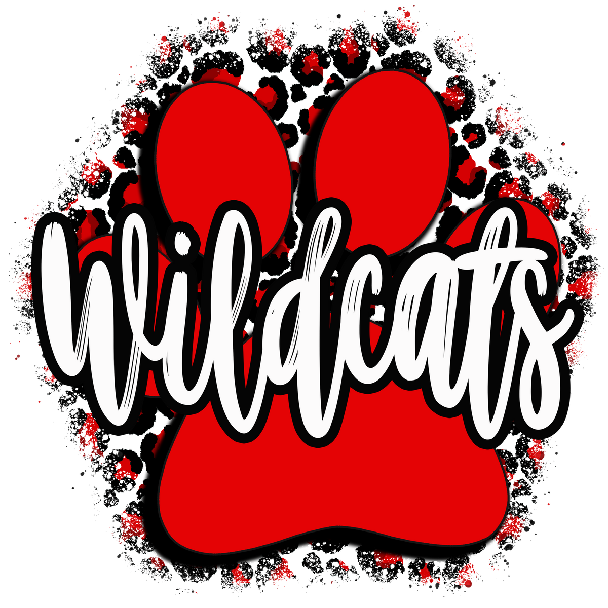 Sassy Wildcats with Cheetah