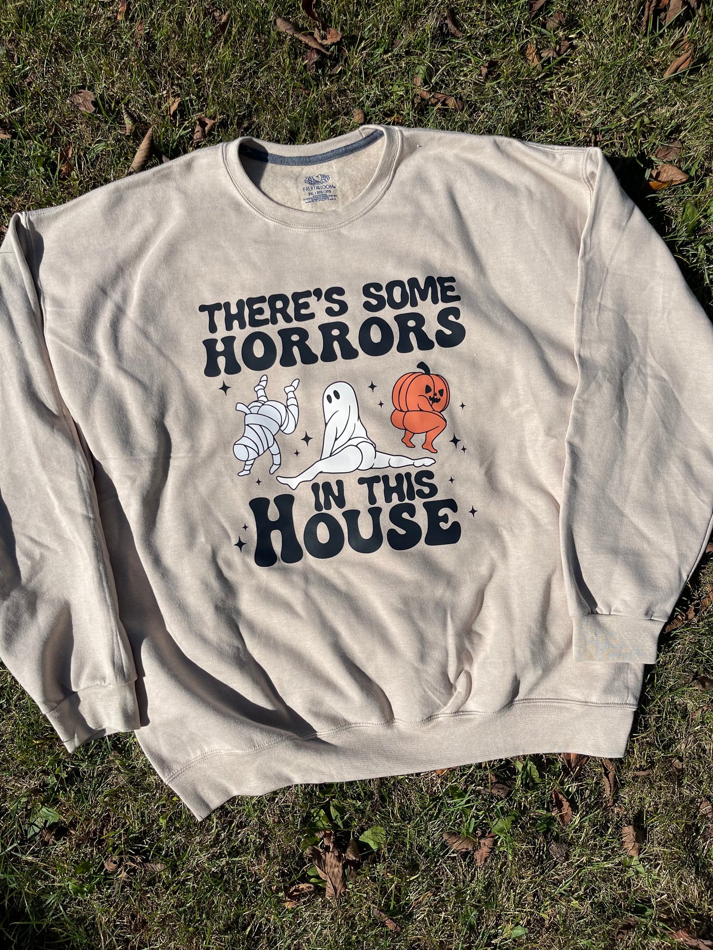 Horrors in this House