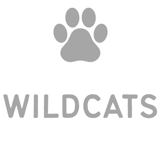 Vanlue Wildcats in Grey