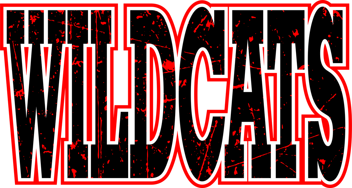 Paint Splatter Wildcats